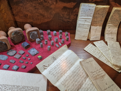 museo i cavalieri_.03